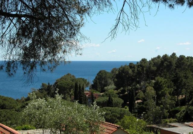 Mono Capo d'Arco - Agrumeto